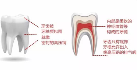牙痛为什么那么痛！