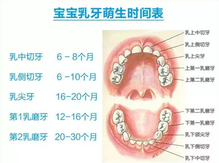 如何判断宝宝是否“地包天”