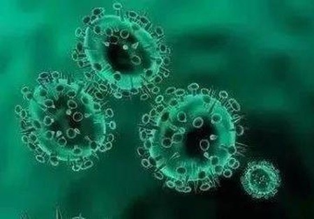 接种新冠疫苗是实现群体免疫非常有效的途径