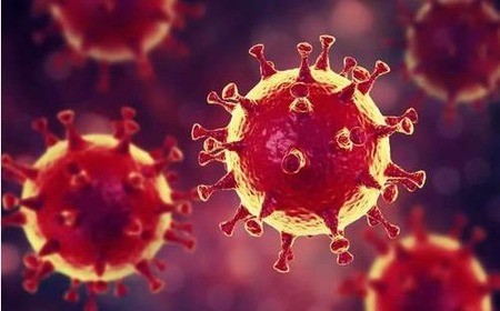 新型冠状病毒肺炎死亡率是多少？
