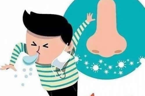 耳软骨鼻子可以维持多久？