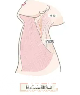 北京画美医疗美容医院