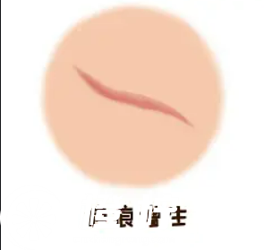 河北医科大学第二医院