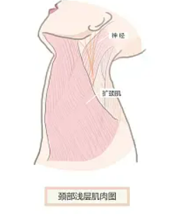 东莞做植发什么医院比较好(东莞植发哪里医院正规)